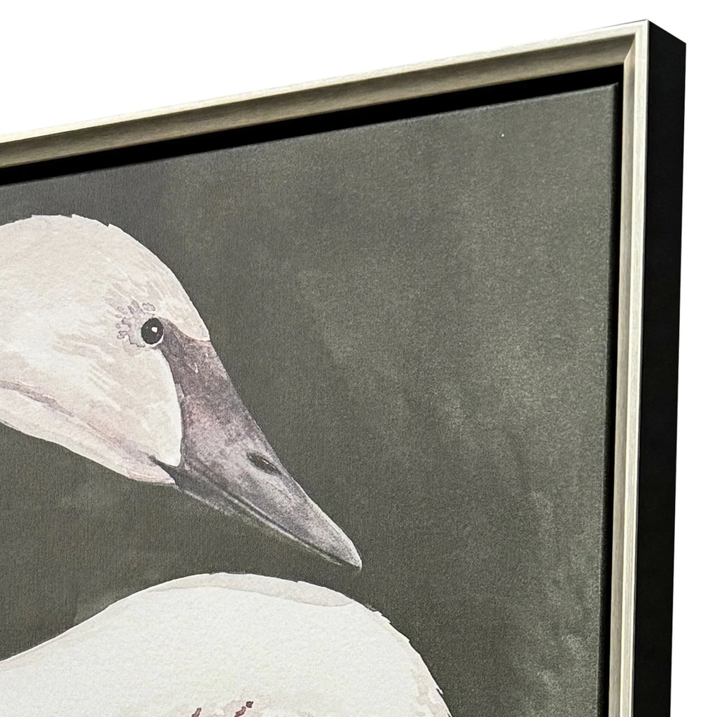 Swan Dance White Canvas Art