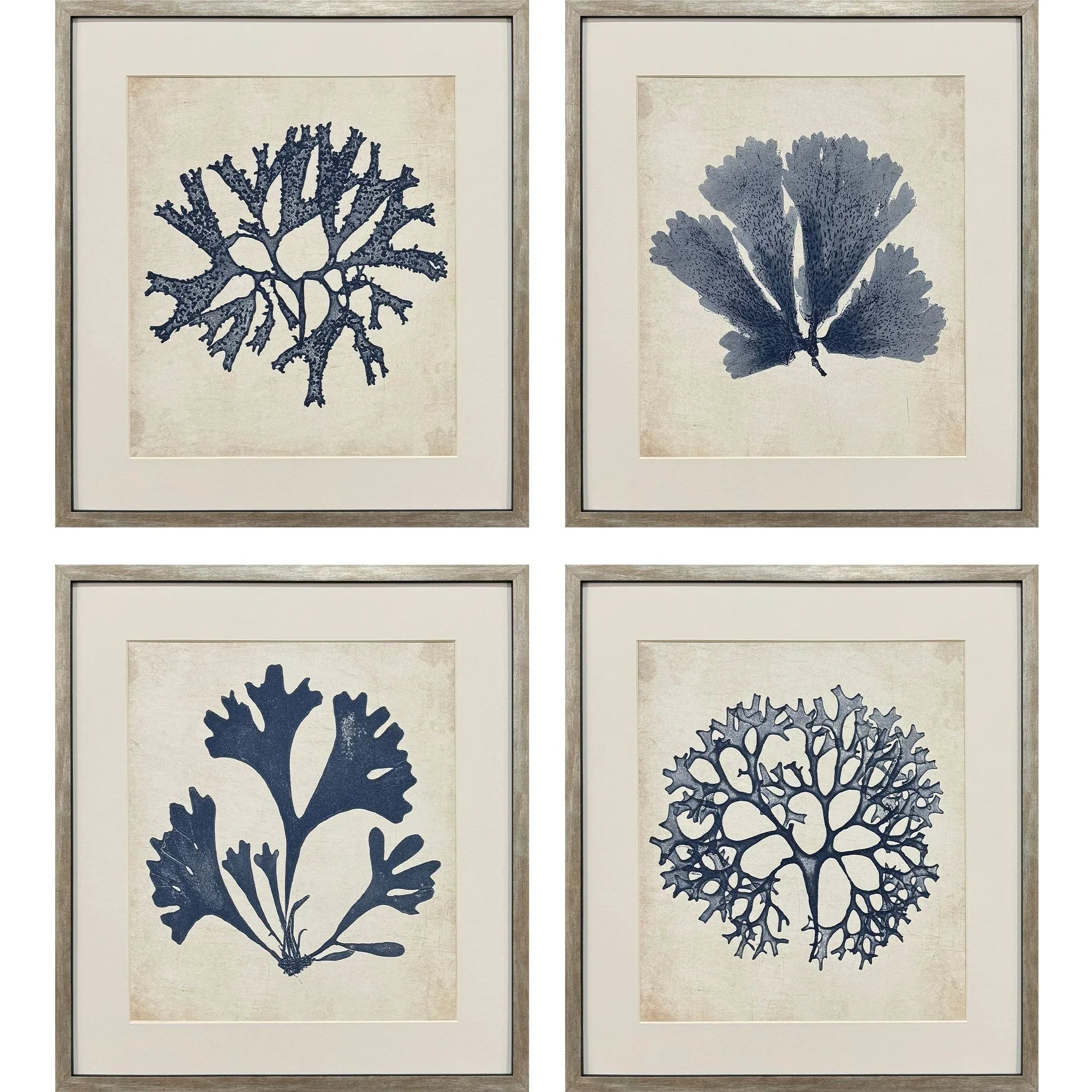 Indigo Sea Life Wood Frame Blue Canvas Art 4PC
