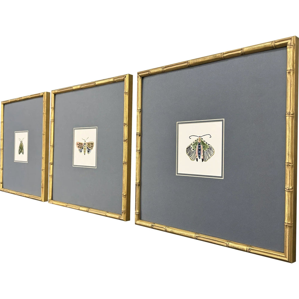 Pastel Moths Wood Frame Green Canvas Art 3PC