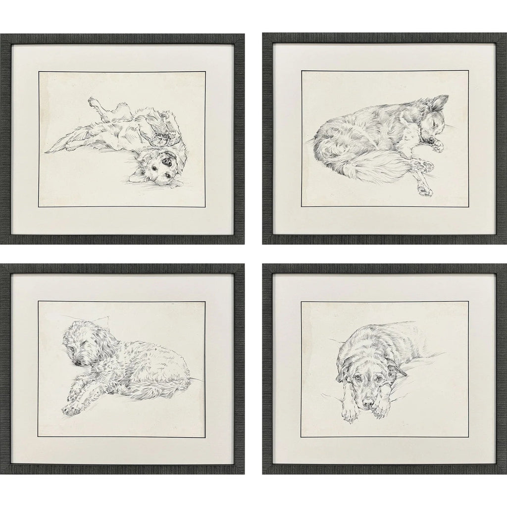 Antique Dog Sketch Beige Canvas Art 4PC