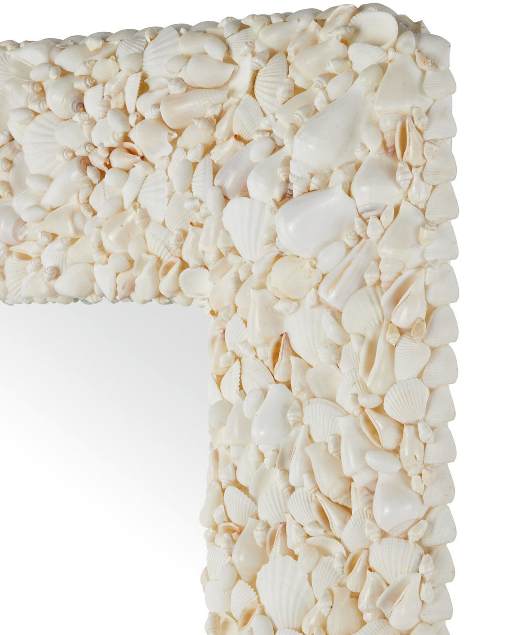 Turbinella Shells Frame Rectangular Wall Mirror