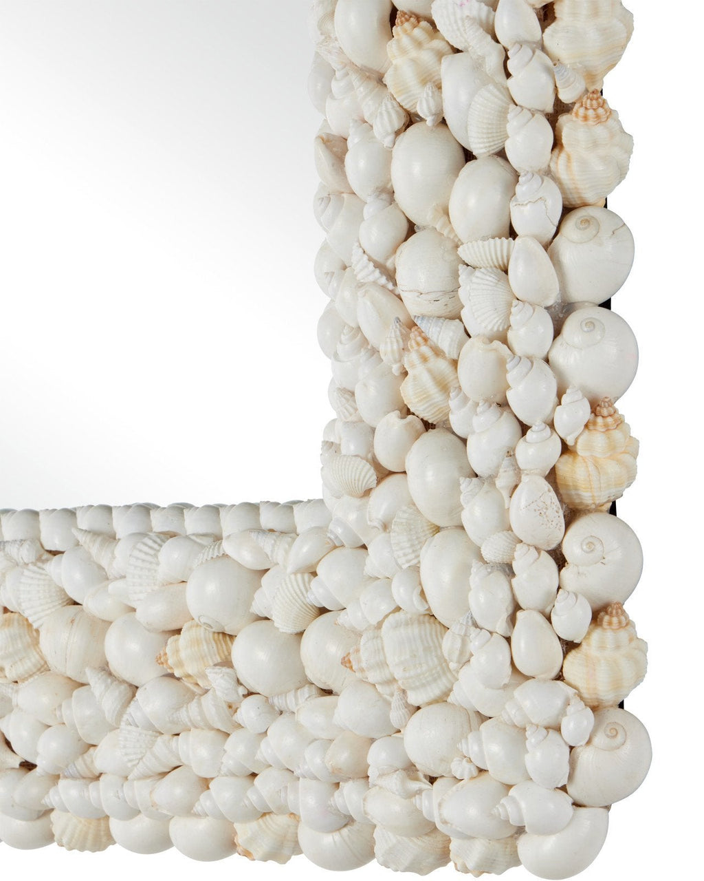 Piddock Shell Frame Square Wall Mirror