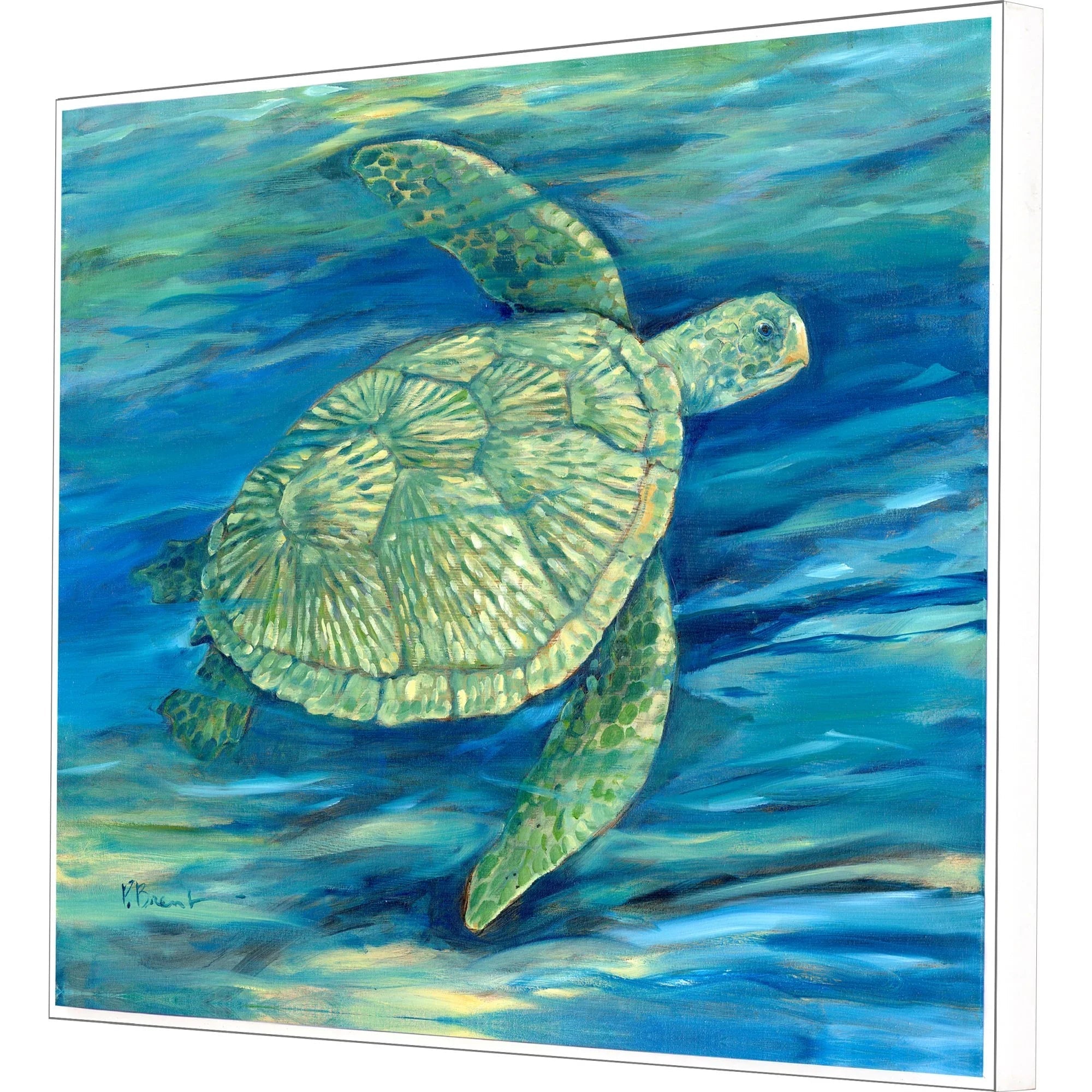 Lagoon Turtle III Green Canvas Art