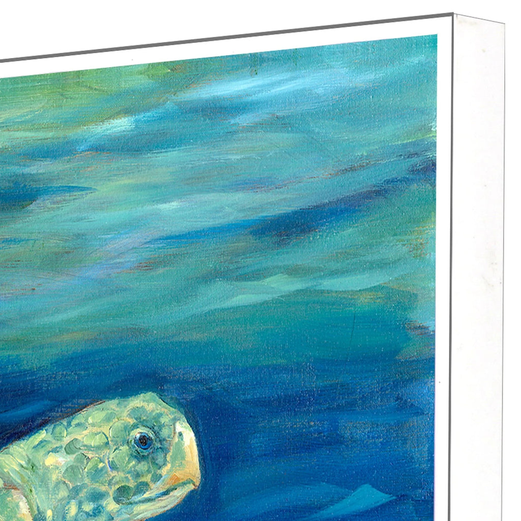 Lagoon Turtle III Green Canvas Art