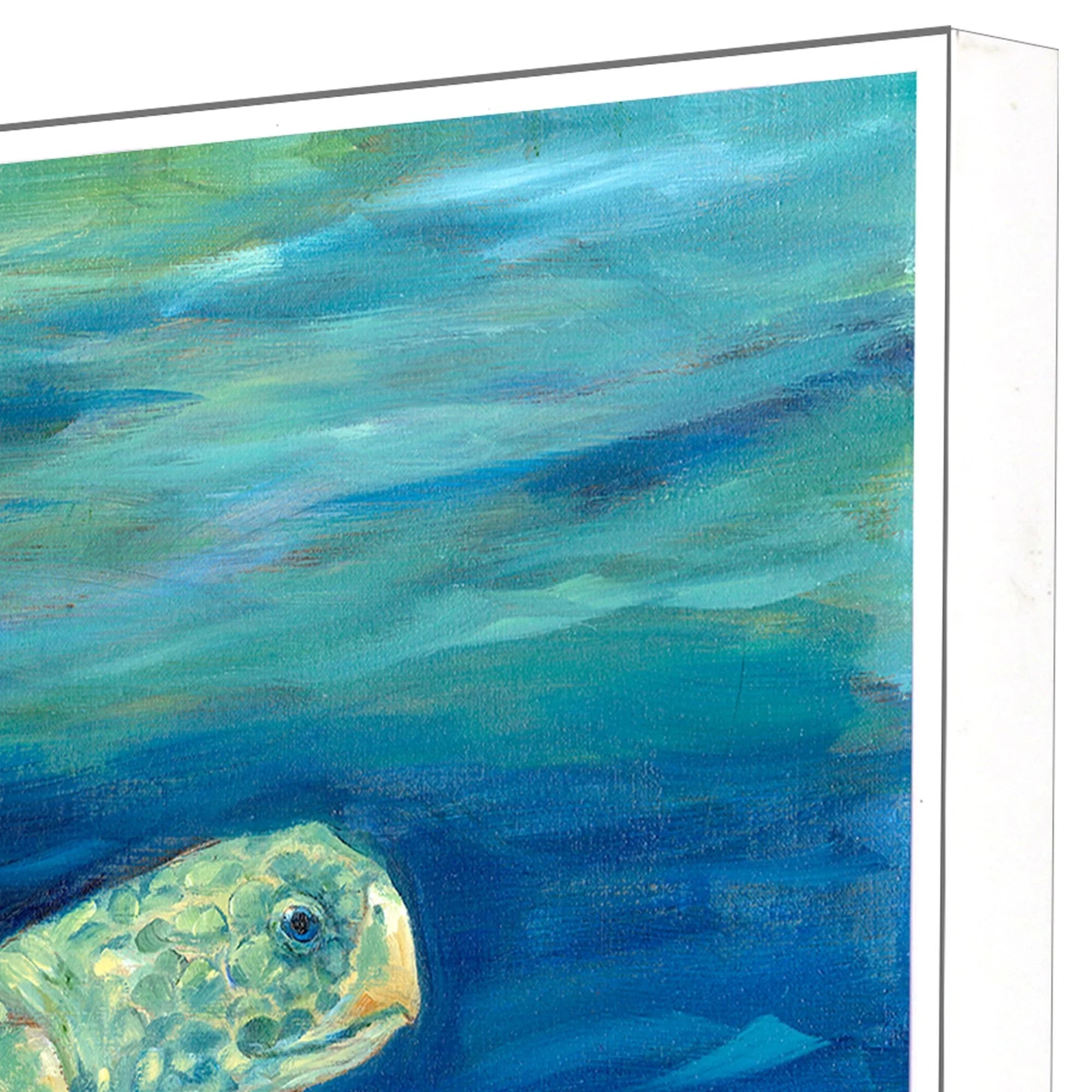 Lagoon Turtle III Green Canvas Art