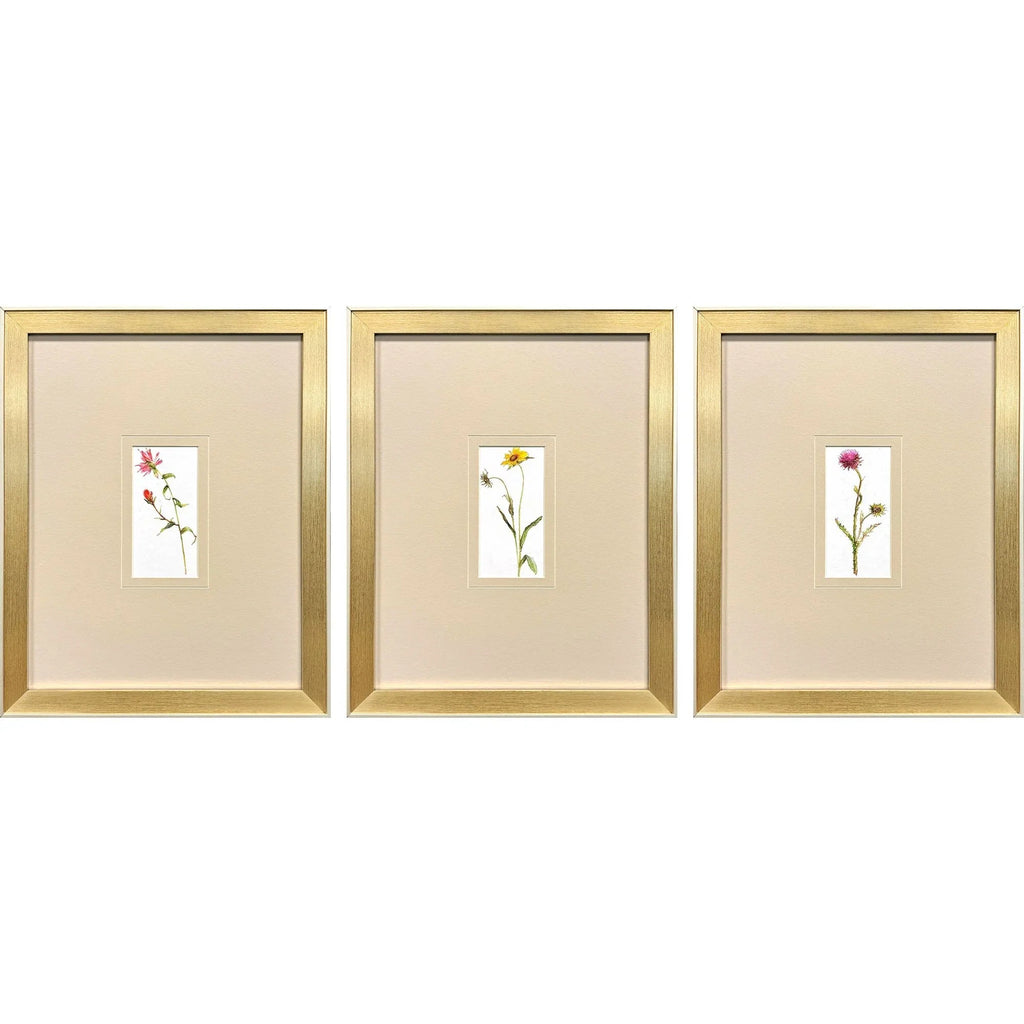 Pretty Florals Multi Canvas Art 3PC