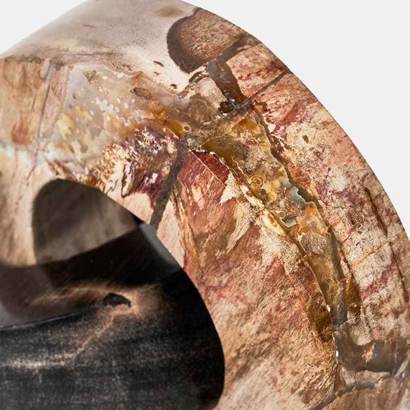 Linx Petrified Wood Sculpture -- view 4
