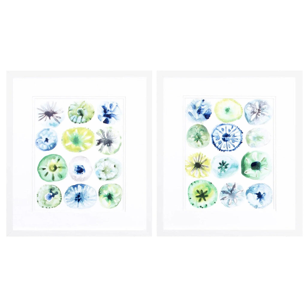Sea Urchin Assortment Blue Canvas Art 2PC