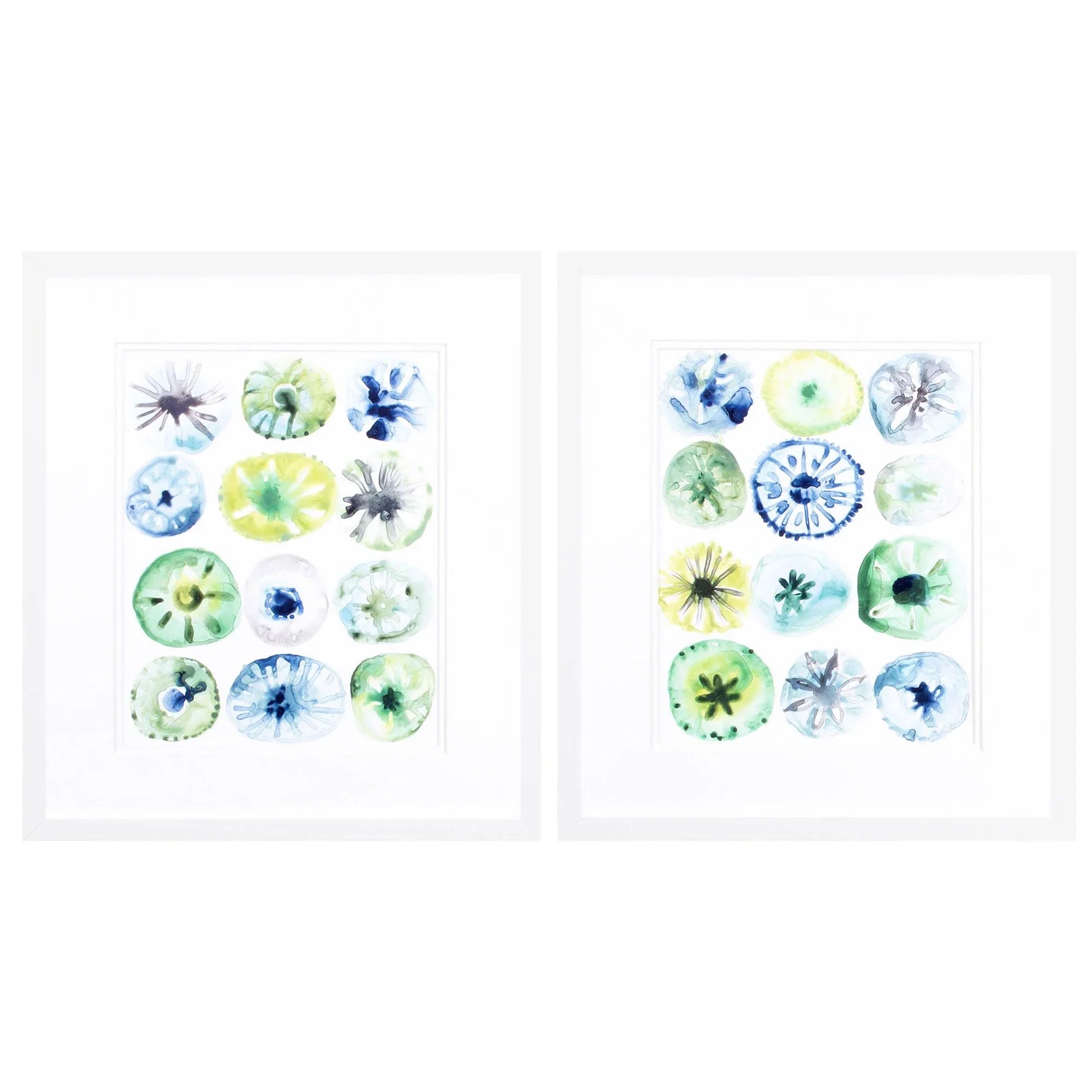 Sea Urchin Assortment Blue Canvas Art 2PC