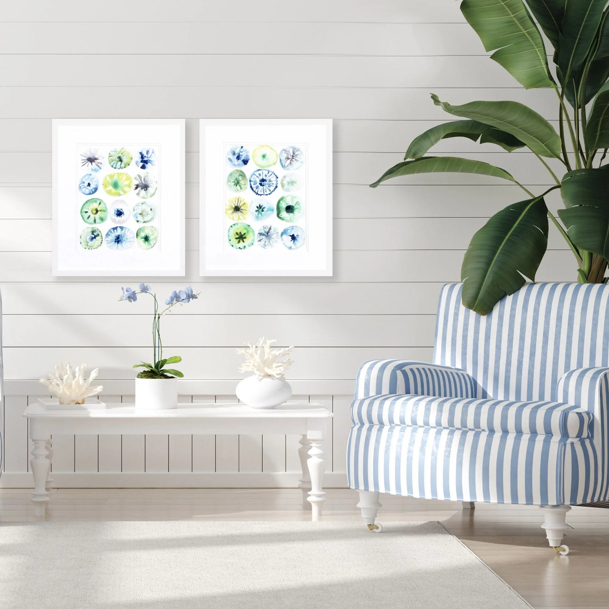 Sea Urchin Assortment Blue Canvas Art 2PC