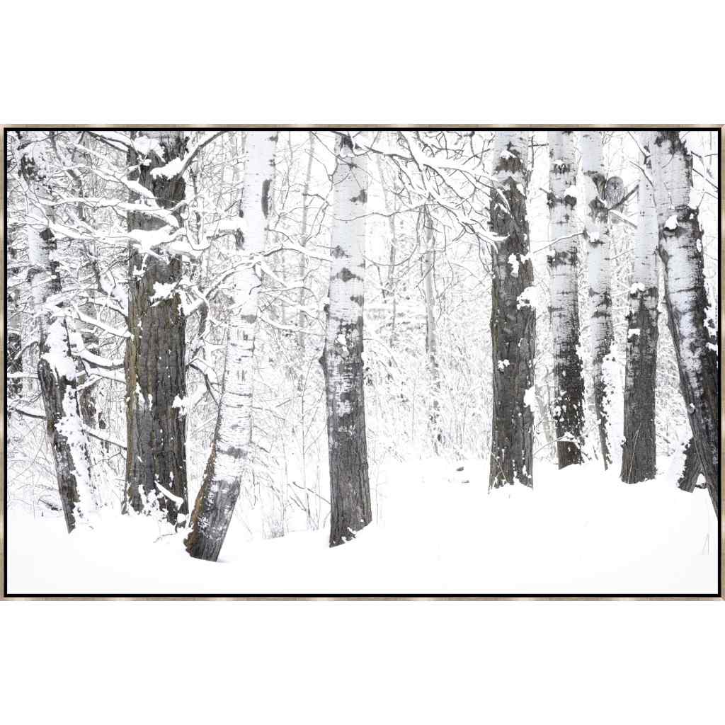 Ghost in the Aspens Hand Crafted Canvas Art