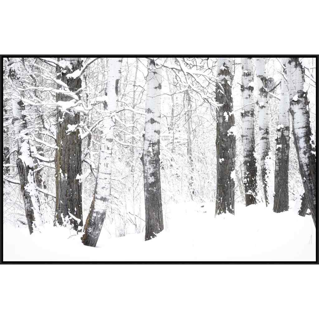Ghost in the Aspens Hand Crafted Canvas Art