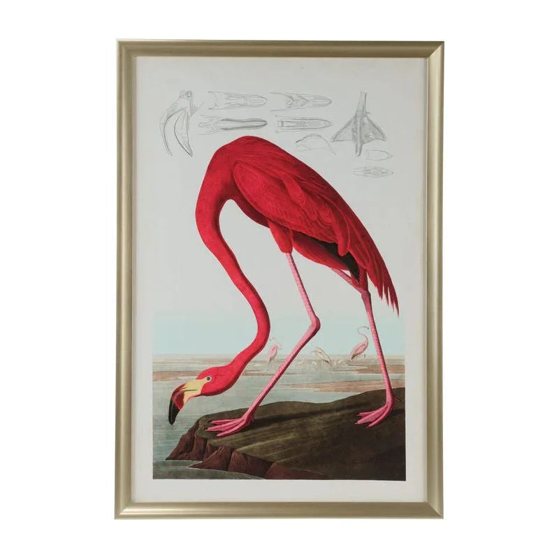 American Flamingo Wood Framed Artwork-Framed Wall Art-Chelsea House-LOOMLAN