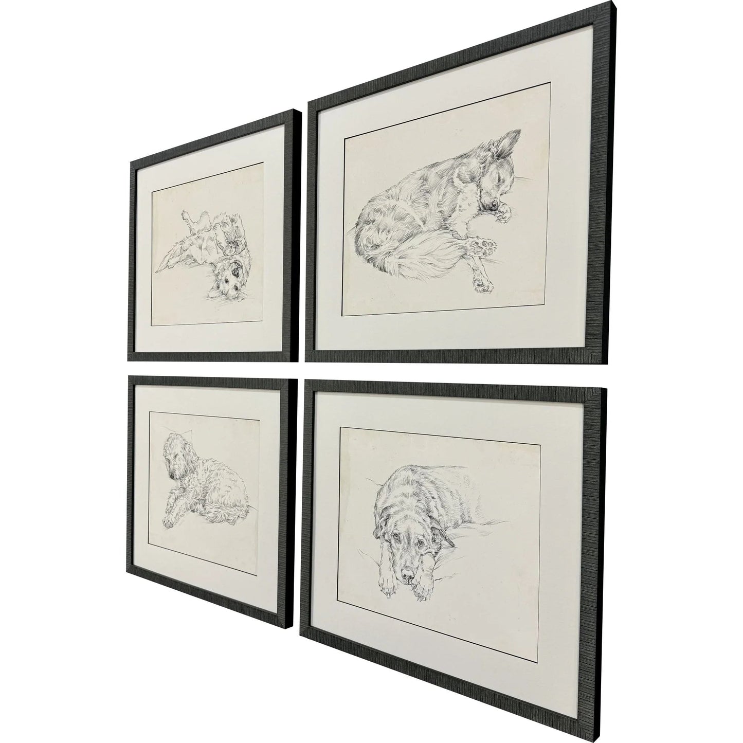 Antique Dog Sketch Beige Canvas Art 4PC