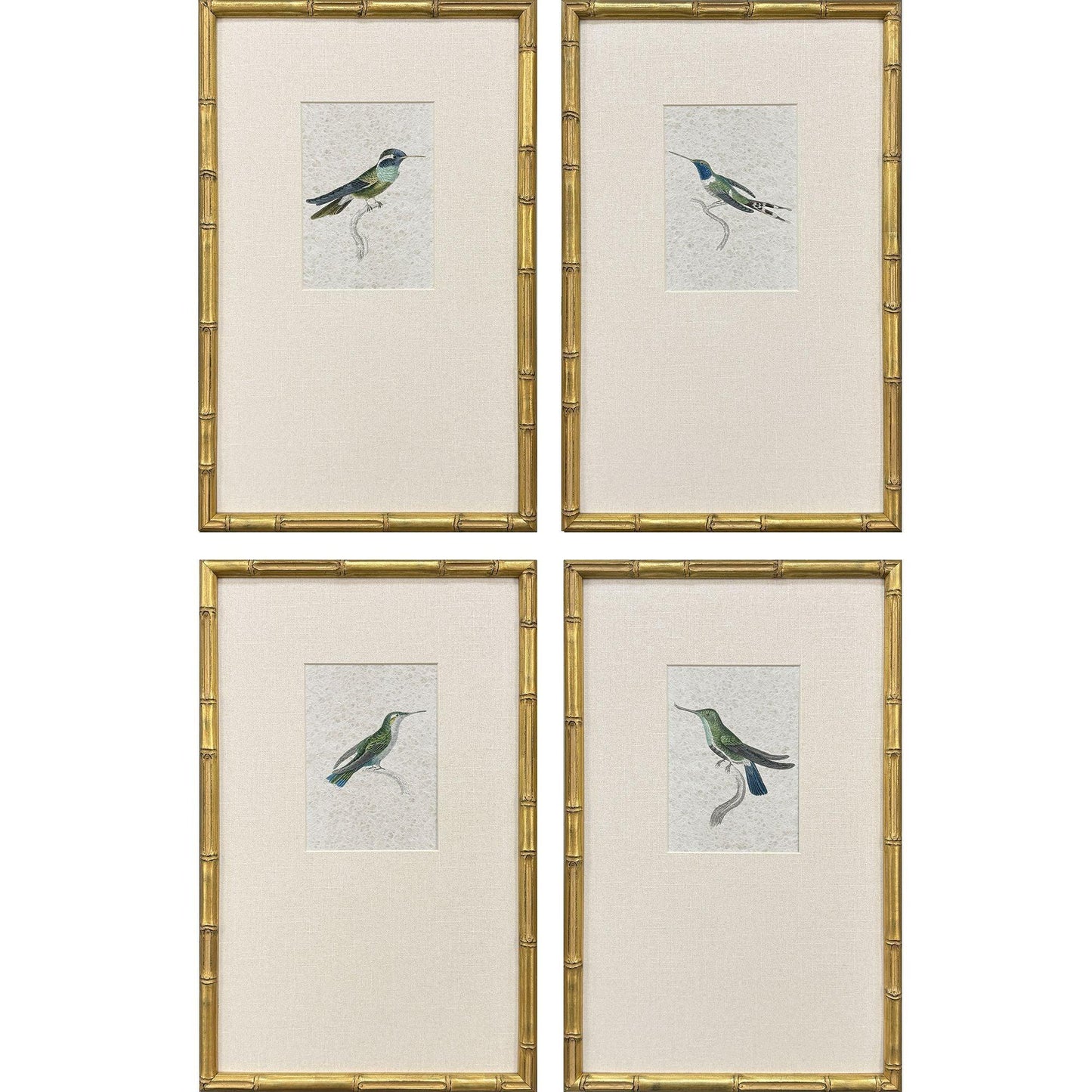 Antique Hummingbirds Wood Frame Green Canvas Art 4PC