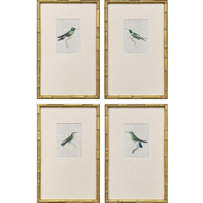 Antique Hummingbirds Wood Frame Green Canvas Art 4PC