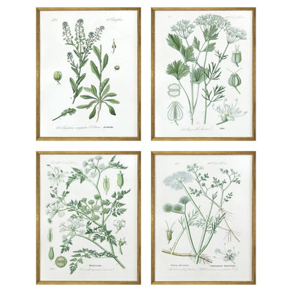 Assemblage Wood Framed Wall Art 4PC