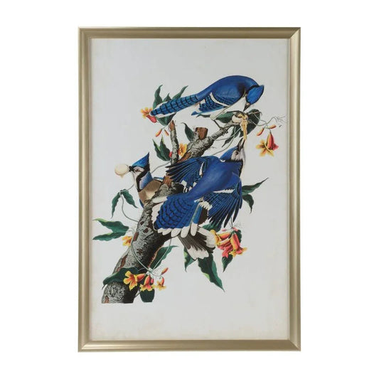 Audubon Blue Jay I Wood Framed Artwork-Framed Wall Art-Chelsea House-LOOMLAN