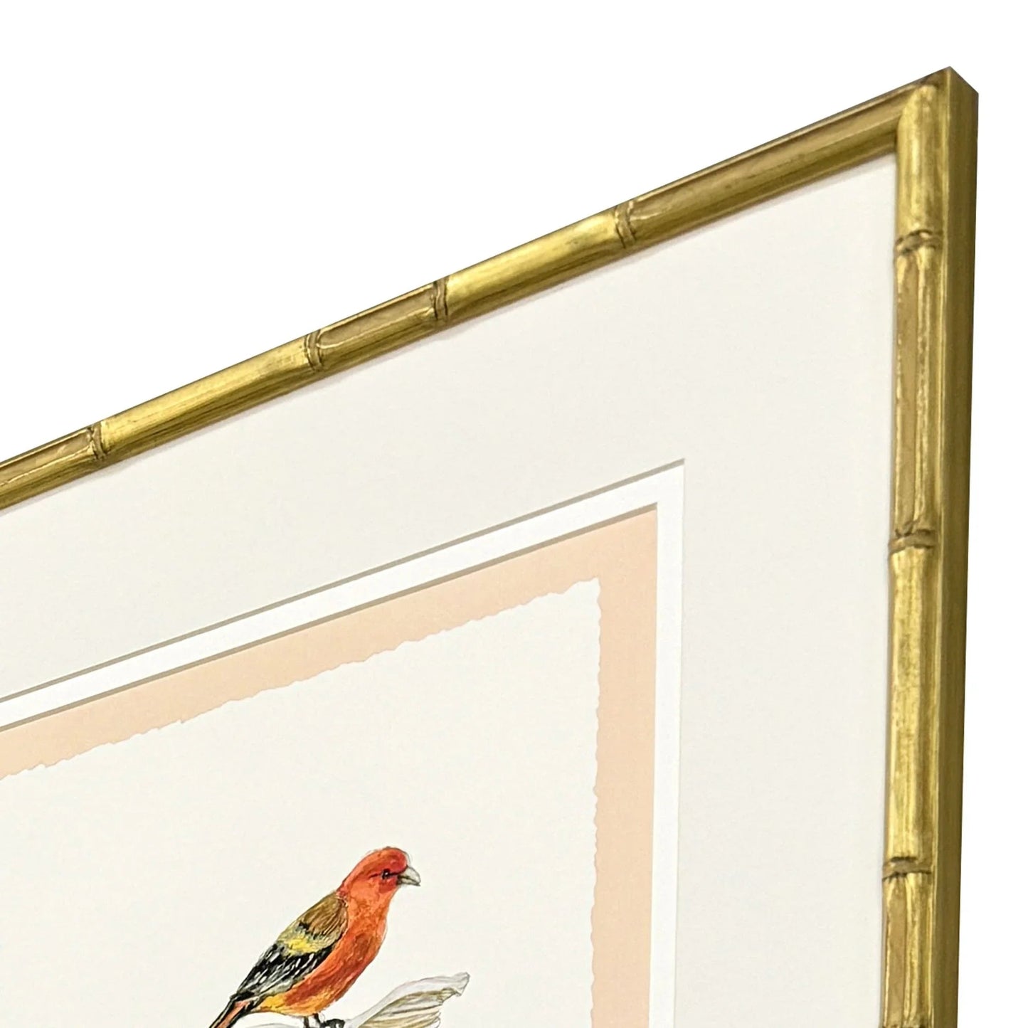 Bird with Shell Wood Frame Multi Canvas Art 4PC