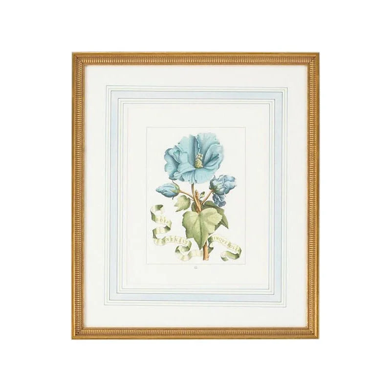 Bl Floral Gold Framed Artwork-Framed Wall Art-Chelsea House-Floral A-LOOMLAN