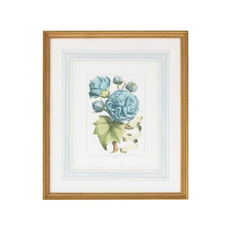 Bl Floral Gold Framed Artwork-Framed Wall Art-Chelsea House-Floral B-LOOMLAN