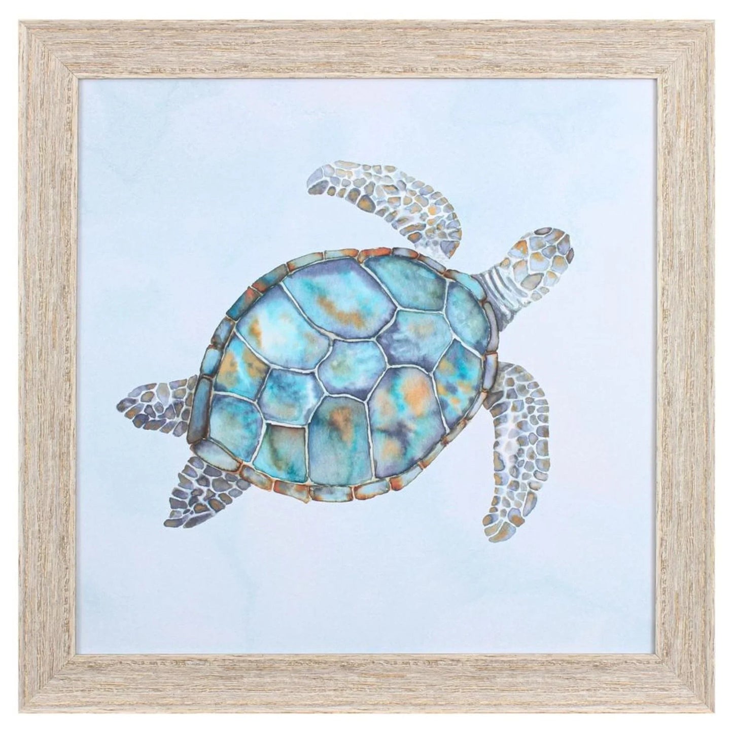 Blue Sea Turtle Glass Front Canvas Art