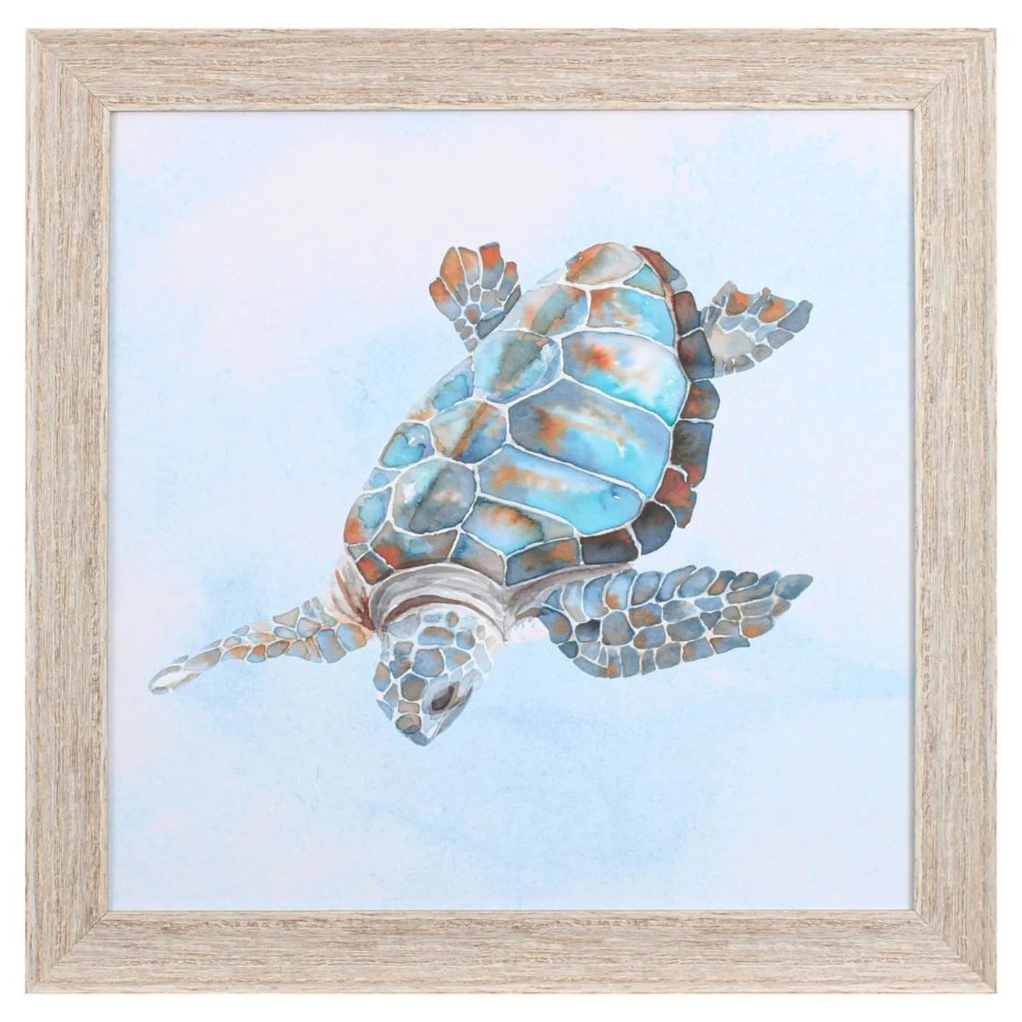 Blue Sea Turtle Glass Front Canvas Art