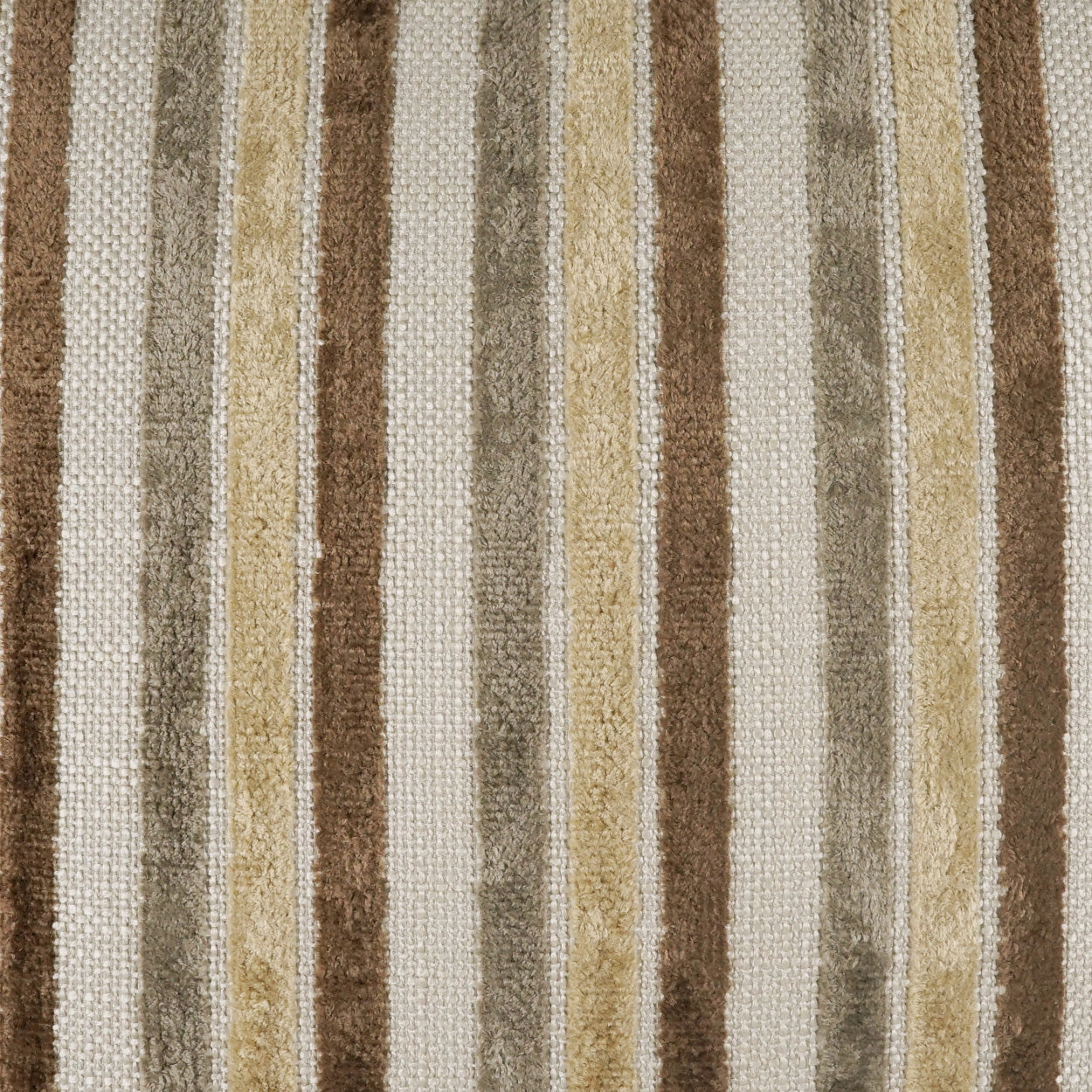 Borderline Removable Cover Throw Pillow