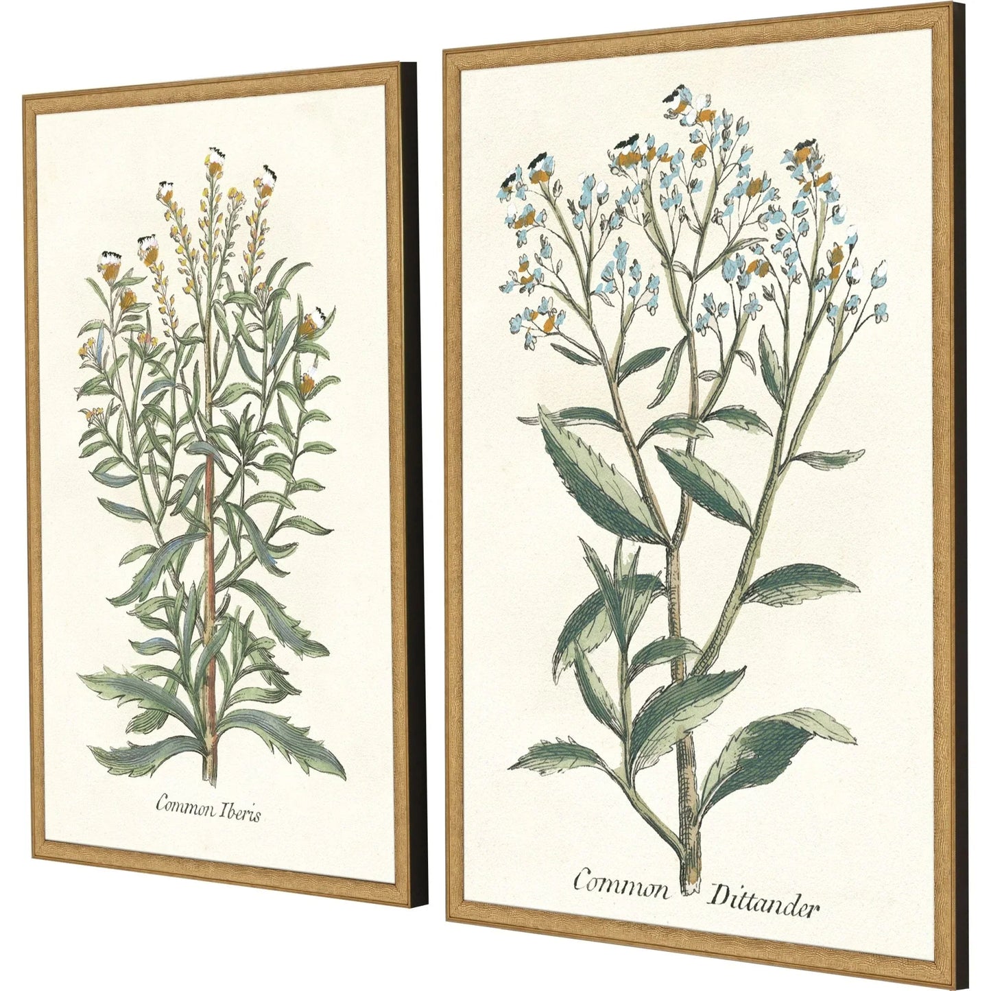 Botanical Plants Wood Frame Green Canvas Art 2PC