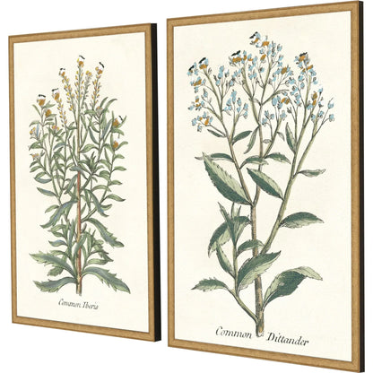Botanical Plants Wood Frame Green Canvas Art 2PC