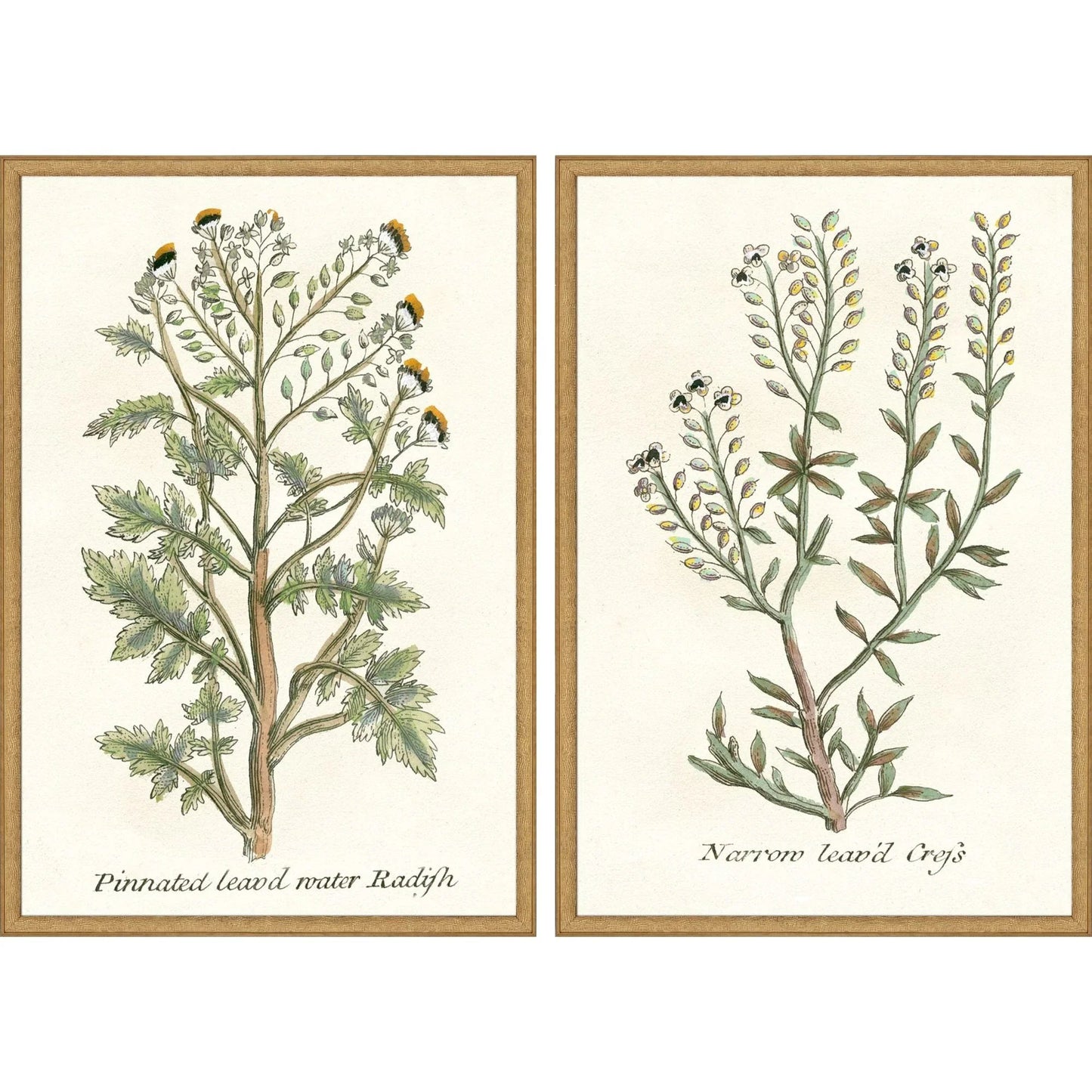 Botanical Plants Wood Frame Green Canvas Art 2PC