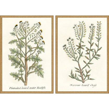 Botanical Plants Wood Frame Green Canvas Art 2PC