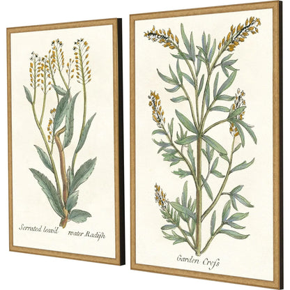 Botanical Plants Wood Framed Wall Art 2PC -- view 11