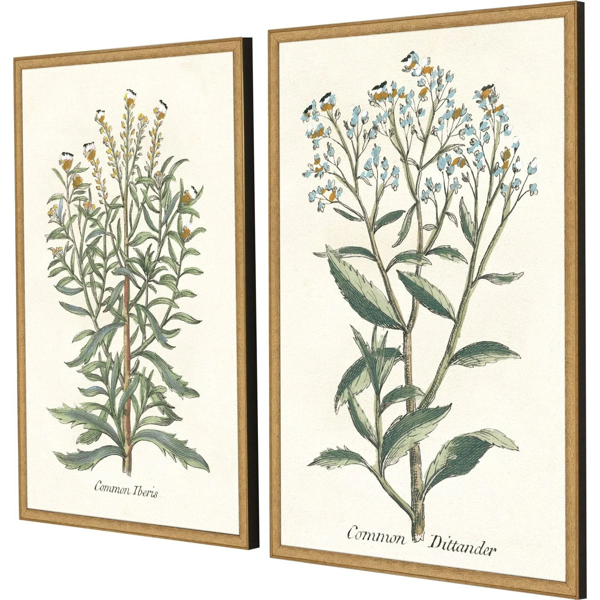Botanical Plants Wood Framed Wall Art 2PC -- view 3