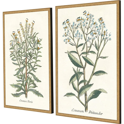 Botanical Plants Wood Framed Wall Art 2PC -- view 3
