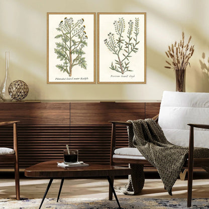 Botanical Plants Wood Framed Wall Art 2PC -- view 6