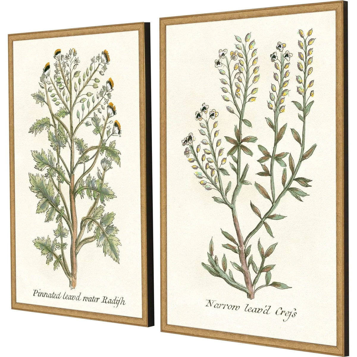 Botanical Plants Wood Framed Wall Art 2PC -- view 7