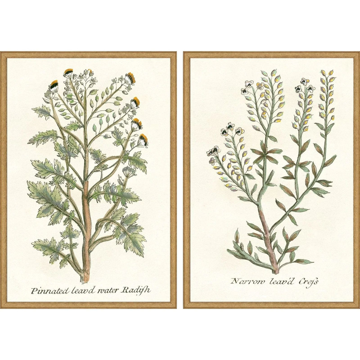 Botanical Plants Wood Framed Wall Art 2PC -- view 5