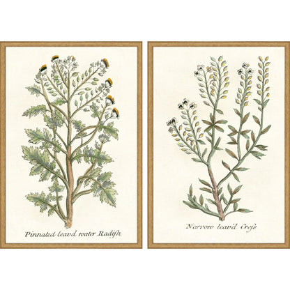 Botanical Plants Wood Framed Wall Art 2PC -- view 5