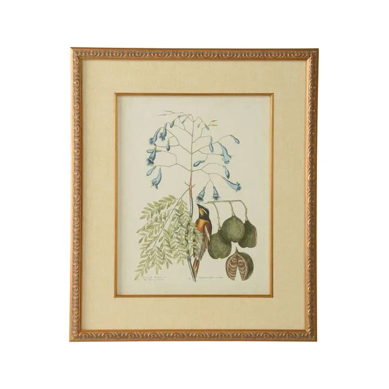 Catesby Bird & Botanical Giclee Printed Artwork-Framed Wall Art-Chelsea House-Botanical II-LOOMLAN