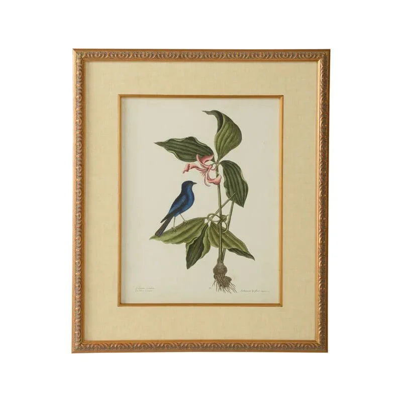 Catesby Bird & Botanical Giclee Printed Artwork-Framed Wall Art-Chelsea House-Botanical IV-LOOMLAN