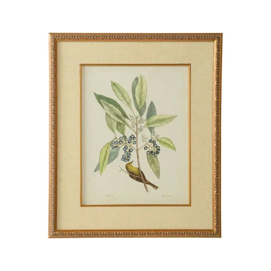 Catesby Bird & Botanical Giclee Printed Artwork-Framed Wall Art-Chelsea House-Botanical V-LOOMLAN