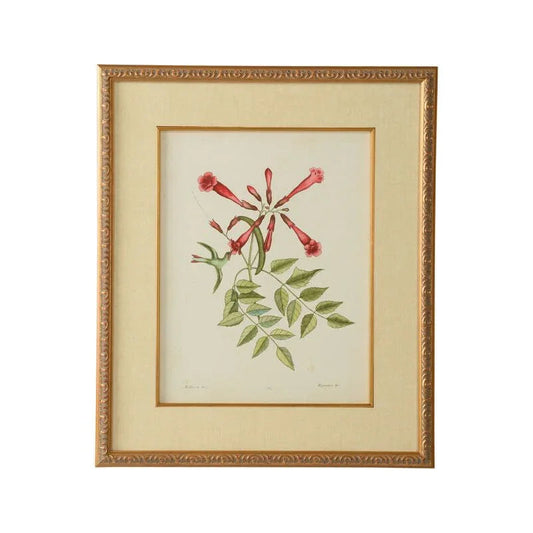 Catesby Bird & Botanical Giclee Printed Artwork-Framed Wall Art-Chelsea House-Botanical VI-LOOMLAN