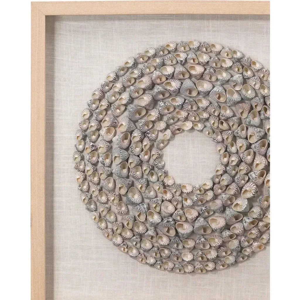 Coastal Screw Shells Pine Wood Bora Bora d Wall Art-Framed Wall Art-Jamie Young-LOOMLAN