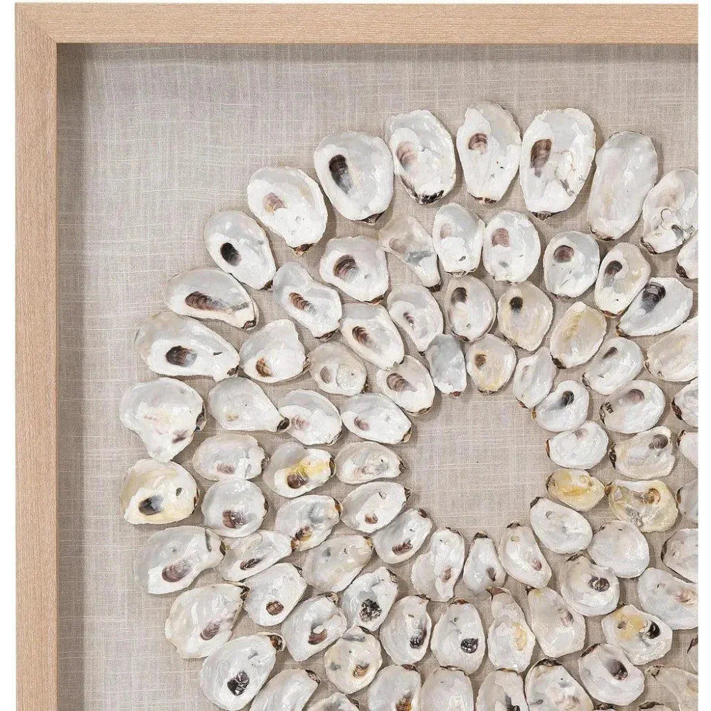 Coastal Style White Abalone Shells Maldives d Wall Art-Framed Wall Art-Jamie Young-LOOMLAN