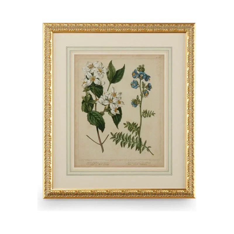Cottage Florals I Wood Framed Artwork-Framed Wall Art-Chelsea House-LOOMLAN