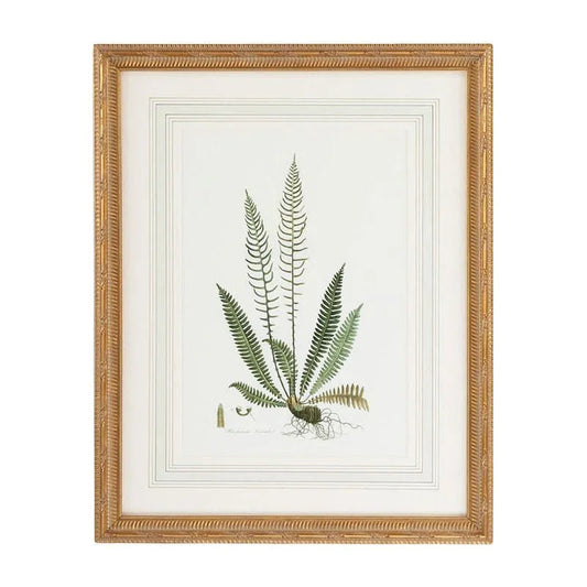 Curtis Ferns Gold Framed Artwork-Framed Wall Art-Chelsea House-Ferns III-LOOMLAN