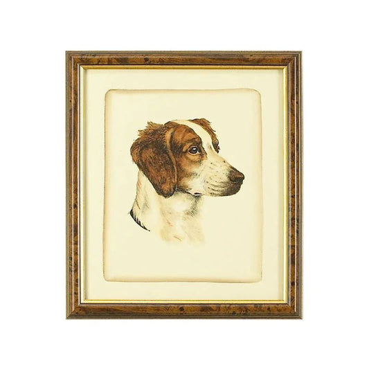 Danchin Brittany Spaniel Gold Framed Artwork-Framed Wall Art-Chelsea House-LOOMLAN