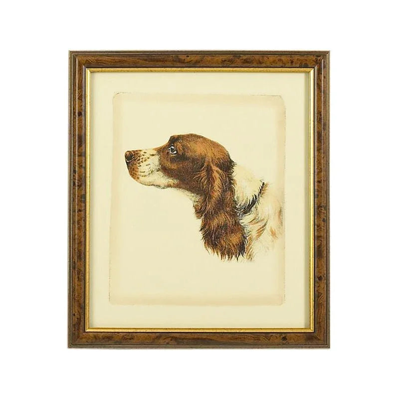Danchin Cocker Spaniel Gold Framed Artwork-Framed Wall Art-Chelsea House-LOOMLAN