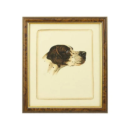 Danchin Pointer Gold Framed Artwork-Framed Wall Art-Chelsea House-LOOMLAN
